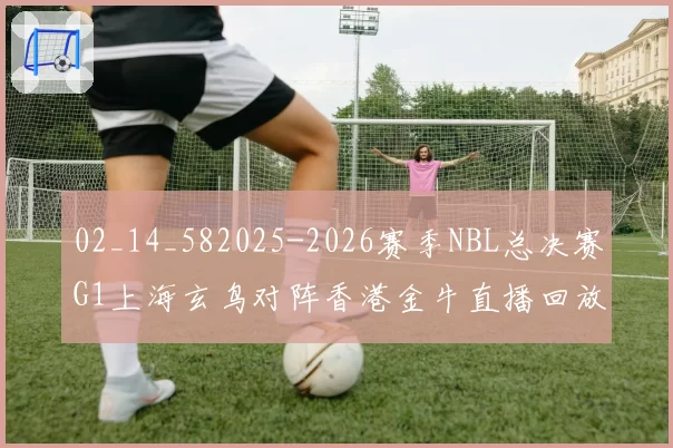 02_14_582025-2026赛季NBL总决赛G1上海玄鸟对阵香港金牛直播回放