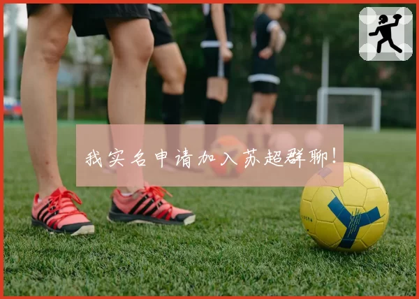 我实名申请加入苏超群聊！