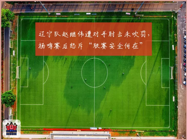 辽宁队赵继伟遭对手肘击未吹罚,杨鸣赛后怒斥“联赛安全何在”
